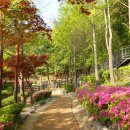 뻥튀기공원 이미지