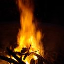 모닥불 이미지