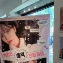 프로미스나인 백지헌 생일카페 후기