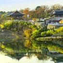 진주성 논개의 충절과 남강 야경이 공존하는 여름 산책 명소 이미지