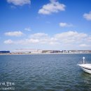 아라타워 이미지