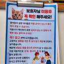 김포한강8로-R | 김포 고양이 미용 양이멍이 키트 밀크 첫 미용 대성공