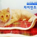 동부산동물병원 네이버블로그