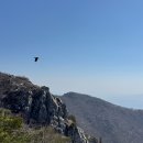 애교리 마을회관 옆 | 뻘밭지옥이었던 3월의 영남알프스