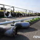 세종펜션민박 이미지