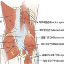 시스템 짐 이미지