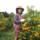 주신농장 이미지