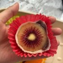 팡팡과일 | 제주 동문시장 디저트 추천, 과즙 팡팡 터지는 운화당 과일모찌 내돈내산 후기