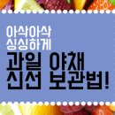 싱싱과일채소