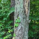 약수터주유소 이미지