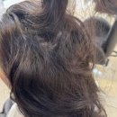 중앙카클리닉 | 당진 크리닉 전문 ) 찰스리헤어테크 | 재방문 카나토 크리닉 받은 후기