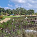 좌구산자연휴양림 이미지