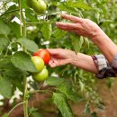 가중농장 이미지