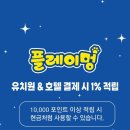 광주 애견유치원 애견호텔 플레이멍 이미지