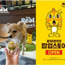 스타월드 라운지 이미지