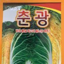 유진CR 이미지