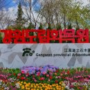 강원도립화목원 이미지