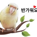 인포젠 네이버블로그