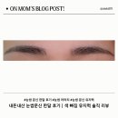눈썹달 | 내돈내산 눈썹 문신 한달 후기｜색 빠짐 유지력 솔직 리뷰