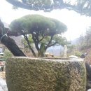 안골농장 이미지