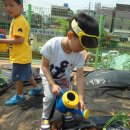 화평농장 이미지