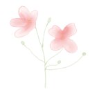 서해병설유치원 이미지