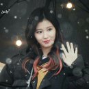 161126 사나를 보여드리죠 (심장주의) 이미지
