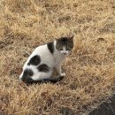 솔이네국수 | 제 비공개 일상 말하지마세요. 미리 공개하기 싫습니다