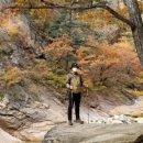 금호리조트(주) 설악 이미지