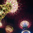 하나로슈퍼 | 싱가포르 가든스바이더베이 티켓 예약 여행 코스 슈퍼트리쇼 후기