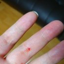 캐비어동물병원 이미지