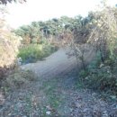 김광석길 벽화 이미지