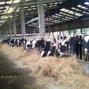 건봉목장 이미지