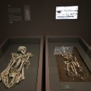 서빙고로 이미지