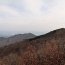 새신처럼 이미지