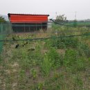 차강농장 이미지