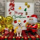 생글댕글 이미지