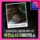 부천극동아파트 | 부천 소사구 보일러배관청소 난방불량 편난방 원인! (송내동 우성아파트 지역난방)
