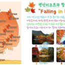 변산리조트 이미지