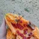 너랑나랑 펜션 민박 이미지