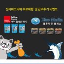 엠씨플러스