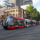 로얄피시 이미지