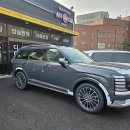 A프로카써비스 | 팰리세이드 하이브리드 에코트로닉 그레이펄 신차패키지