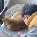 돌미로 | [충주 가볼만한 곳] 아이와 실패 없는 당일치기 코스 1탄/ 동굴 카누부터 대형 숲 놀이터까지