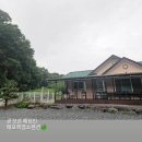 쑥스러운염소 네이버블로그