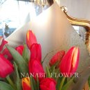 사파동188 이미지