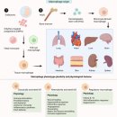 Re: 면역 조절기능에서 대식세포의 역할 2023년 nature review 이미지