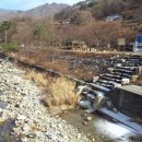 사동유원지 Daum카페