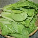 자연대로4 이미지