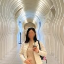 라메르19 이미지